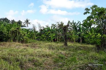 Image 1 from Land For Sale Leasehold in Umalas