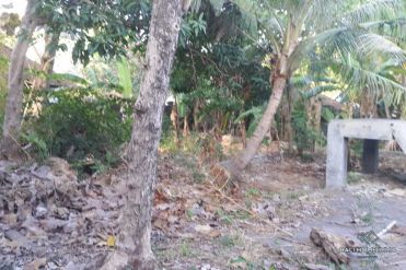 Image 2 from Land For Sale Leasehold Located in Umalas