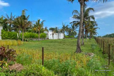 Image 1 from Land with ocean view for sale freehold in Tabanan