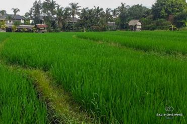 Image 1 from Land With Ricefield View For Sale Leasehold in Berawa