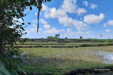 Image 2 from Land with Ricefield View For Sale Leasehold in Tuka - North Canggu