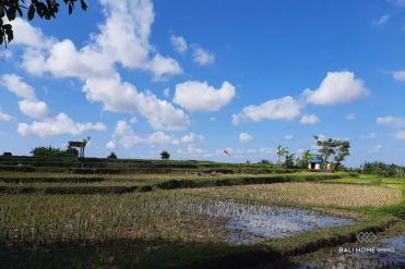 Image 1 from Land with Ricefield View For Sale Leasehold in Tuka - North Canggu