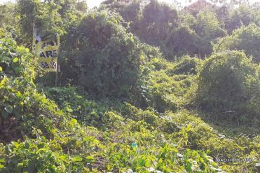 Image 2 from Land for Sale Freehold nearby the beach in Canggu - Batu Bolong