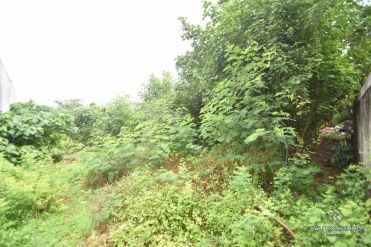 Image 1 from Perfectly located land for sale freehold in Canggu - Berawa