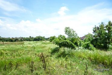 Image 3 from Terrain à vendre en pleine propriété avec vue rizière à Canggu - Berawa