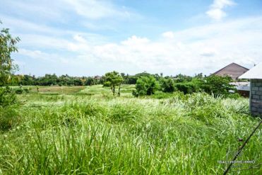 Image 2 from Terrain à vendre en pleine propriété avec vue rizière à Canggu - Berawa