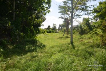 Image 1 from Ricefield view land for sale freehold in Canggu - Pererenan