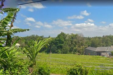 Image 1 from Ricefield view Land For Sale Leasehold in Pererenan