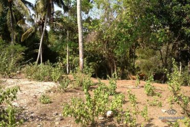 Image 1 from Riverside Land For Sale Freehold in Pantai Nyanyi