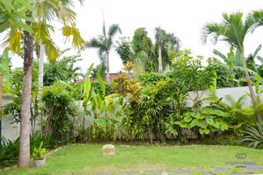 Image 3 from Two Bedroom Villa for Yearly Rental in Canggu, Berawa