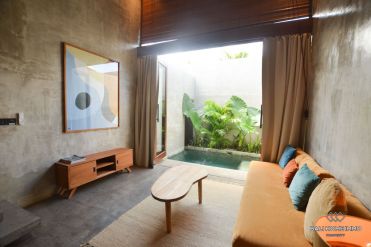 Image 1 from 1 Bedroom Apartment For Monthly Rental in Canggu