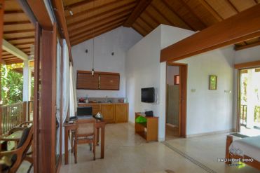 Image 3 from 1 bedroom villa for monthly rental in Seminyak