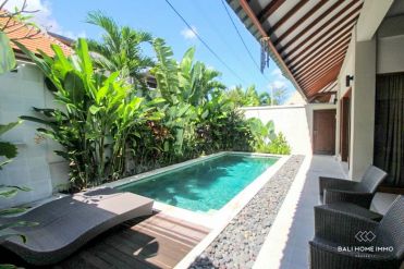 Image 1 from 2 Bedroom Villa For Yearly & Monthly Rental in Umalas
