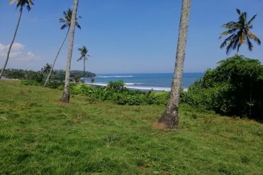 Image 3 from Beachfront Land For Sale Freehold in Tabanan - Soka