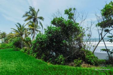 Image 1 from Beachfront Land For Sale Leasehold in Tabanan - Pasut Beach
