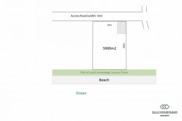 Image 2 from Beachfront Land For Sale Leasehold Near Seseh Beach