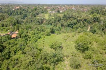 Image 1 from Hillside Land For Sale Freehold in Ubud