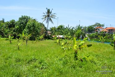 Image 2 from Land For Leasehold In Canggu