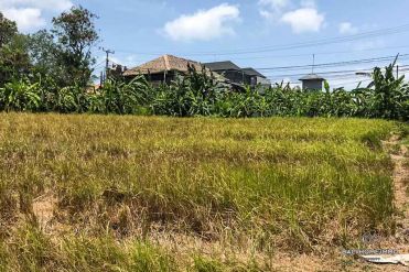 Image 1 from Land for sale feehold in Canggu - Batu Bolong