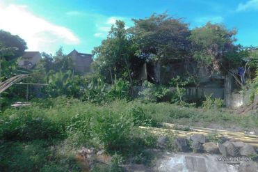 Image 2 from Land for sale freehold in Canggu - Berawa