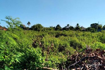 Image 1 from Land for sale freehold in Canggu - Berawa