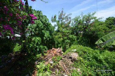 Image 2 from Land for sale freehold in Canggu - Berawa