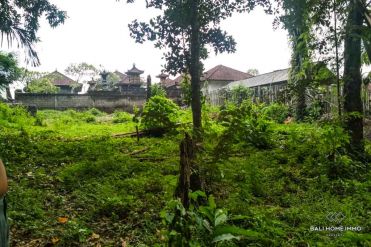 Image 2 from Land for sale freehold in Canggu - North Side