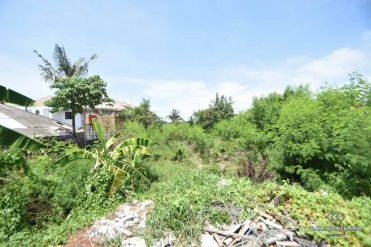Image 1 from Land for sale freehold in Canggu - North side