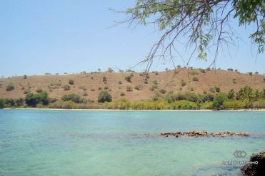 Image 2 from Beachfront land for sale freehold in Sumbawa