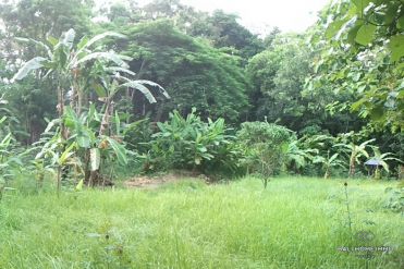 Image 3 from RIVERSIDE LAND FOR SALE FREEHOLD IN KABA-KABA, TANAH LOT AREA