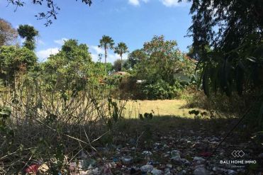 Image 1 from Land for sale freehold in Umalas
