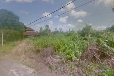 Image 1 from Land For Sale Freehold in North Canggu
