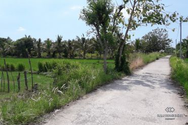 Image 1 from Land For Sale Freehold in North Lombok