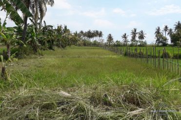 Image 3 from Land For Sale Freehold in North Lombok
