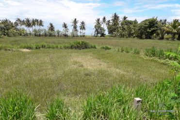 Image 2 from Land For Sale Freehold in North Lombok