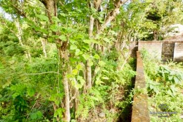 Image 1 from Land for sale freehold in Nusa Dua