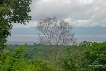 Image 2 from Land For Sale Freehold in Nusa Penida Island