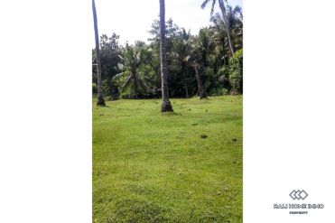Image 1 from Land for sale freehold in Tabanan - Balian