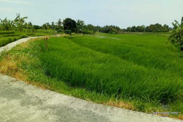 Image 1 from Land for sale freehold in Tanah Lot