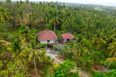 Image 2 from Land for sale freehold in Tabanan