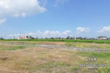 Image 1 from Land for sale freehold in Tanah Lot area