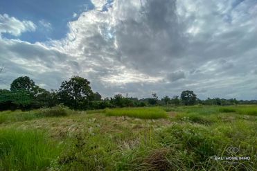 Image 3 from Land for sale freehold in Tanah Lot Area