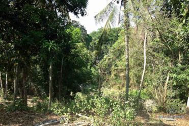 Image 3 from Land for sale freehold in Tanah Lot