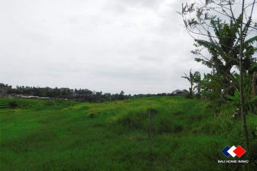 Image 3 from Land for sale freehold in Tanah lot