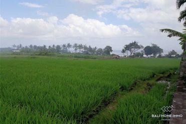 Image 2 from Land for sale freehold in Tanah Lot - Cemagi
