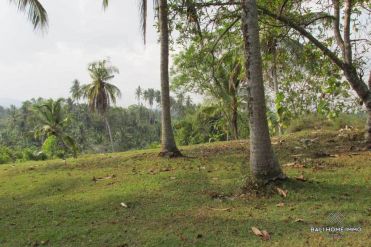 Image 2 from Land for sale freehold near beach in Tabanan - Soka