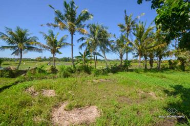 Image 1 from Land For Sale Leasehold Best Investment in Kedungu - Tabanan