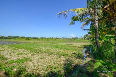 Image 3 from Land For Sale Leasehold Best Investment in Kedungu - Tabanan