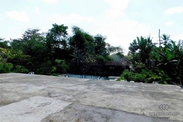 Image 3 from Land For Sale Leasehold Best Investment in Padonan - North Canggu