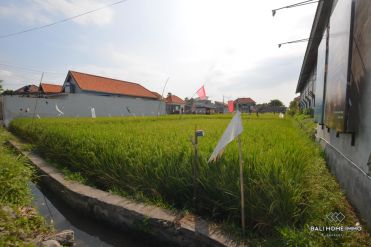 Image 3 from Land For Sale Leasehold Canggu - Berawa